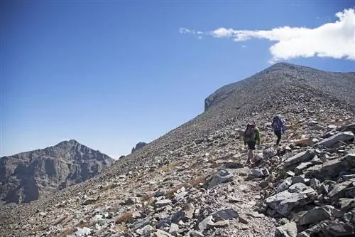 Пик Уиллер Грейт-Бейсин Невада