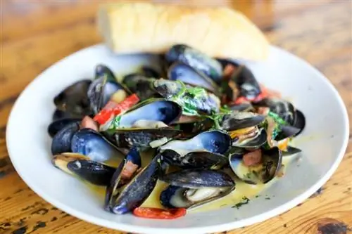 9 моментов, которые вы запомните навсегда из поездки на остров Принца Эдуарда