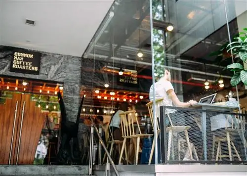 8 лучших кафе Ванкувера для удаленной работы