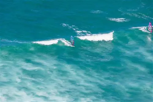 лучшее время для посещения Гавайев для ветровых видов спорта