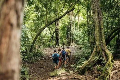 Лучшее время для посещения Гавайев - пеший туризм круглый год