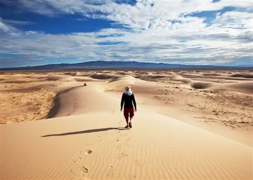 11 самых красивых пустынь мира