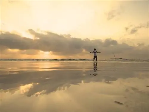 Фото: Эксплорамум