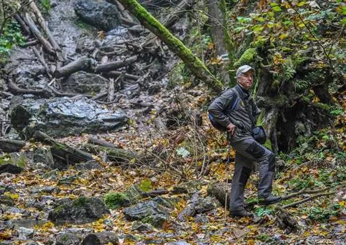 80% мест обитания диких животных в Европе находятся под угрозой: вот что делается по этому поводу в Словакии