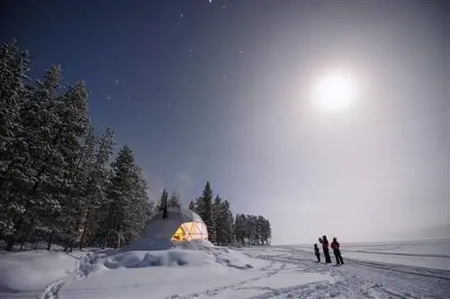 Фото: Магия полярной ночи