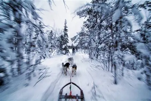 Фото: Магия полярной ночи