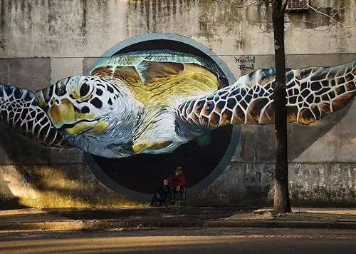 16 изображений Буэнос-Айреса, которые показывают, что происходит, когда нет предела уличному искусству