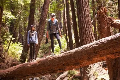 Биг-Сур Калифорния