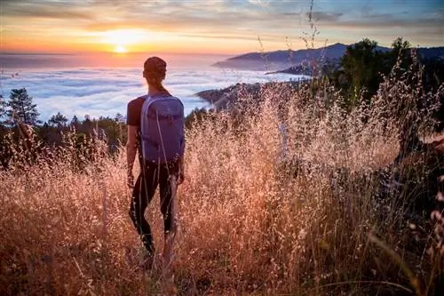 Биг-Сур Калифорния