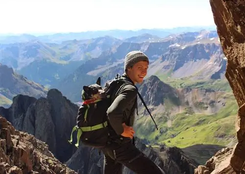 5 потрясающих вариантов дикой природы в Дуранго, штат Колорадо