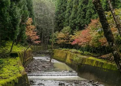 Фотографическое паломничество по Кумано Кодо в Японии