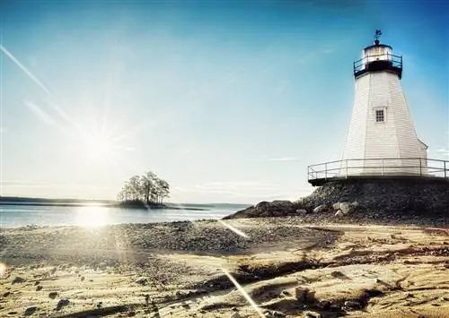 Это настоящая Алабама