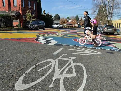 «Шарроу» (разметка велосипедных дорожек с двойной стрелкой) соединяют улицы с зелеными полосами с низким трафиком по всему городу, предоставляя велосипедистам более безопасные варианты передвижения по Портленду. Четверг, 10 ноября 2016 г. (Greg Wahl-Stephens/AP Images) для C40)'