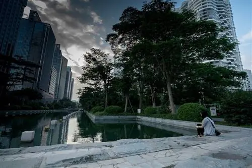 Общественная зеленая зона в центральном деловом районе Шэньчжэня. (Изображения Brent NG/AP для C40)