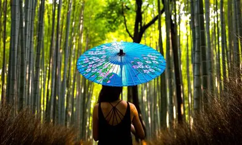 Невероятные снимки Японии от этого инстаграммера заставят вас отправиться в путешествие прямо сейчас