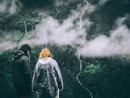 12 изображений, которые показывают облачный лес Перу для удивительного приключения