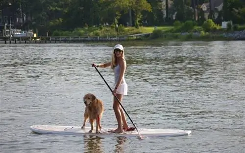 SUP Barre, на воде в Вирджиния-Бич