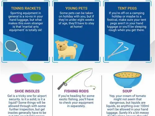 15 удивительных вещей, из-за которых вас могут остановить сотрудники службы безопасности аэропорта