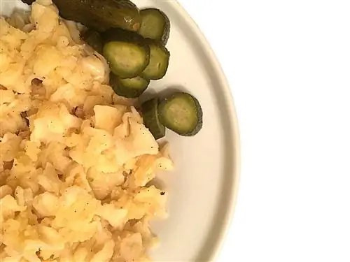 Рецепты венгерской веганской кухни в общежитии