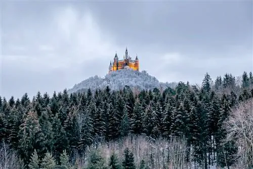 Замок Гогенцоллерн Замок Гогенцоллерн