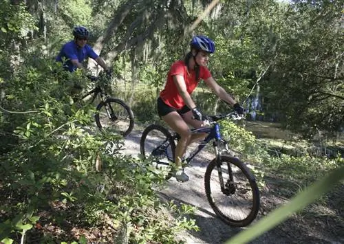 10 невероятных путешествий по Центральной Флориде, о которых вы не знали