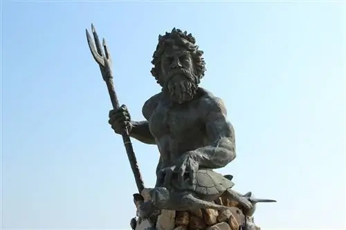 Кинг Нептун Вирджиния-Бич