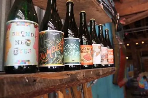 Проект Birds Fly South Ale