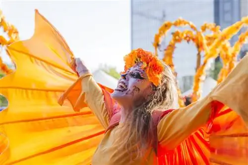 Фестивали Бирмигам