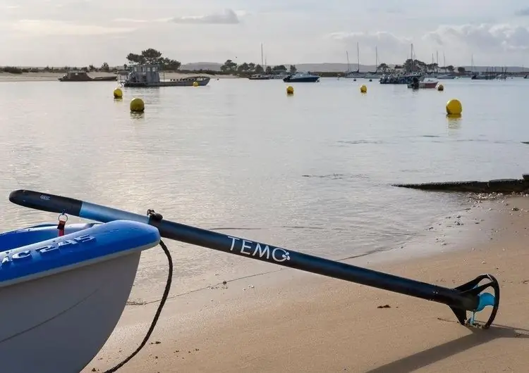 Электрический подвесной двигатель Temo получил награду Dame Award