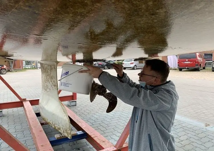 BSH расширяет исследования растительности на Северное море