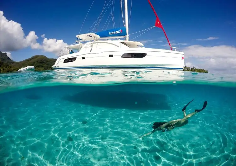 Солнечный парус: больше кошек, больше флотилий, больше парусного спорта