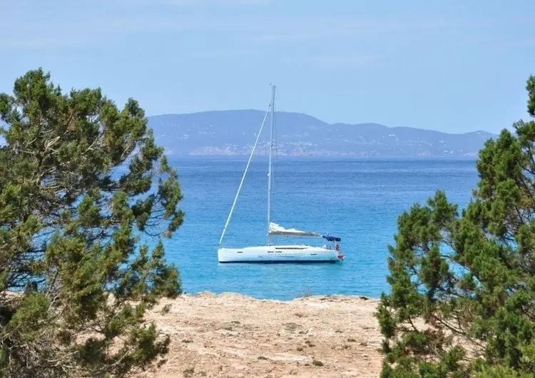 Предупреждение о путешествиях на Майорку сильно ударило по чартерной индустрии