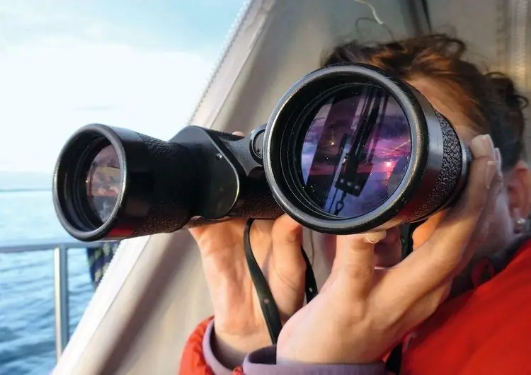 Испытания биноклей: малая оптика, большая картинка