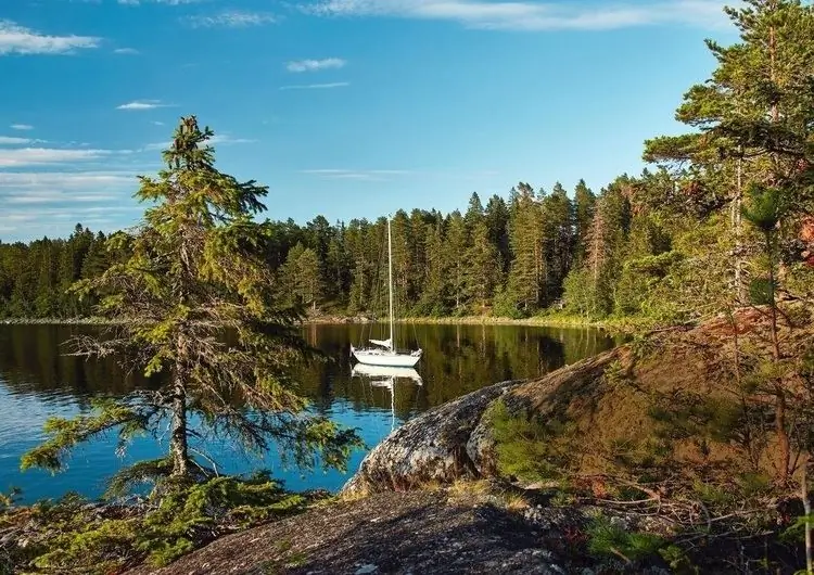 Швеция: одиночество гарантировано