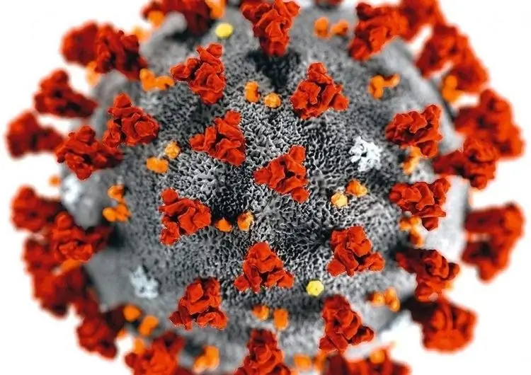 Вирус короны и последствия для парусного спорта