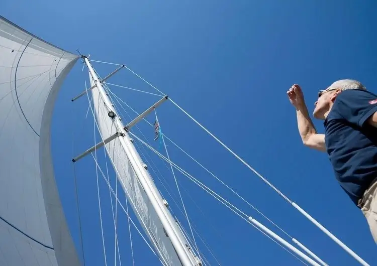 О депрессии и акулах