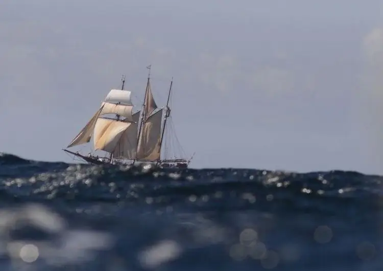 Новые правила безопасности для традиционных судов здесь