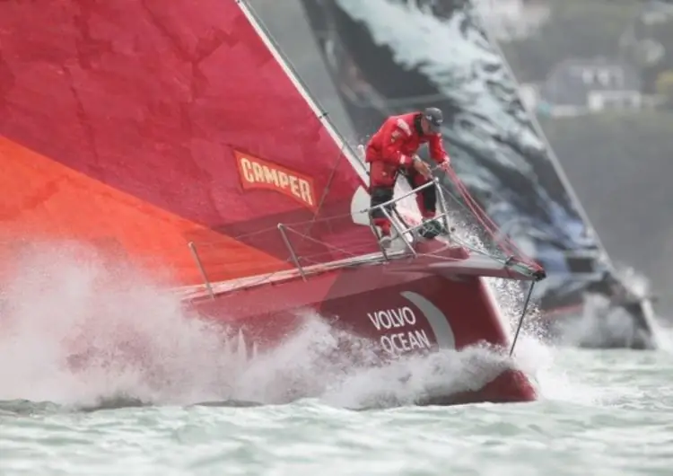 Киви празднуют победу на своем поле