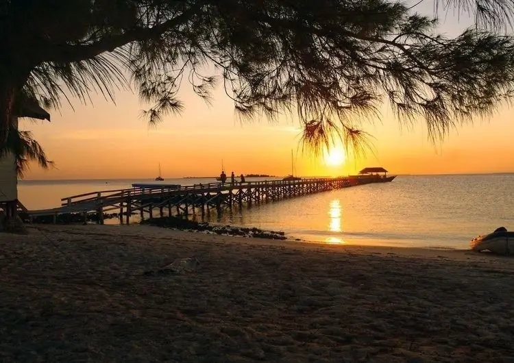 Советы для дальнего путешествия: дальние прогулки на 23 страницах