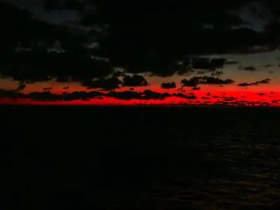 холми! Volvo Ocean Race