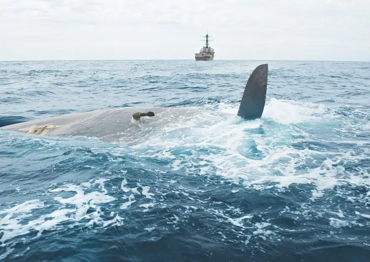 Причину потери киля можно было избежать по мнению суда