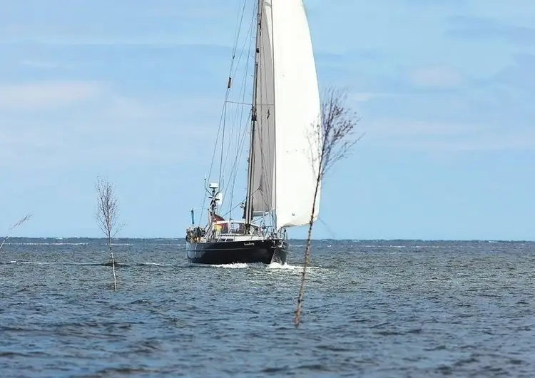 Вместе плывите по Ваттовому морю