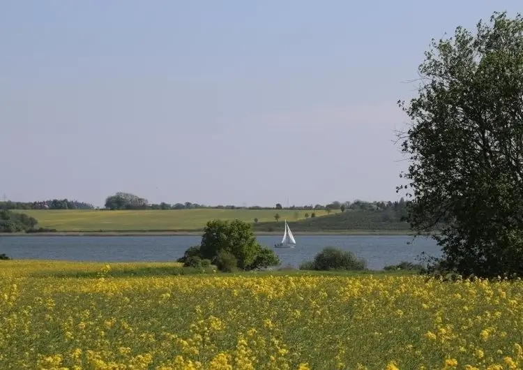 Экологический скандал на Schlei