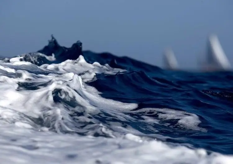 Защита морской среды на международном уровне