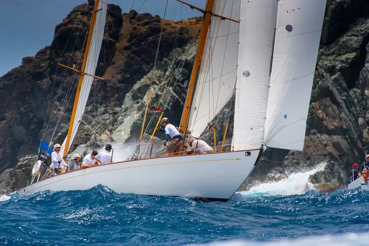 Морской лещ