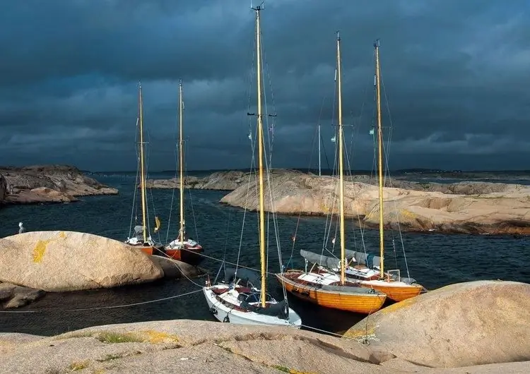 Фольклорный фестиваль