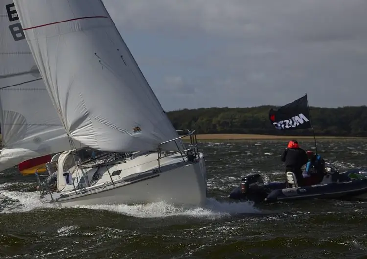 Они все будут сиять