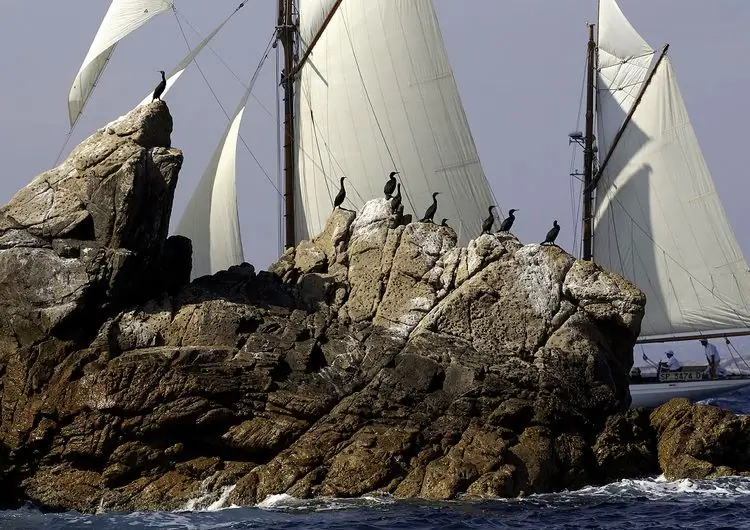 Календарь международных регат