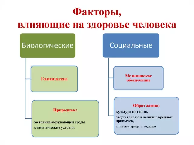 Туризм и здоровье: как путешествия влияют на организм?