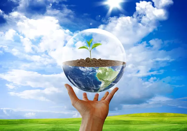 НПО и окружающая среда